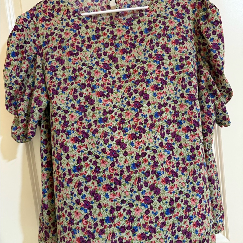 SHEIN Pink and Blue Puff Sleeve Ruffled Blouse